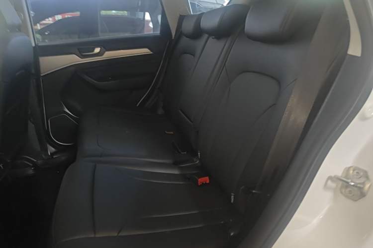Used Haval H6 2018 Red-Label Sport Version 1.5T Manual Two-Wheel Drive Elite Model Left Rear Seat