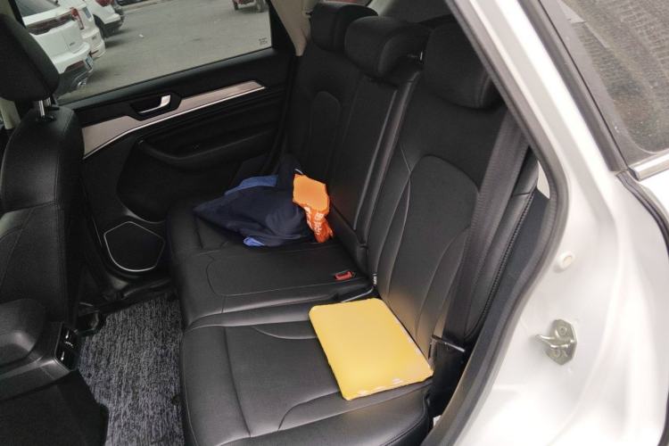 Used Haval H6 2018 Blue Label Sport Edition 1.5T Manual Two-Wheel Drive Elite Model Left Rear Seat