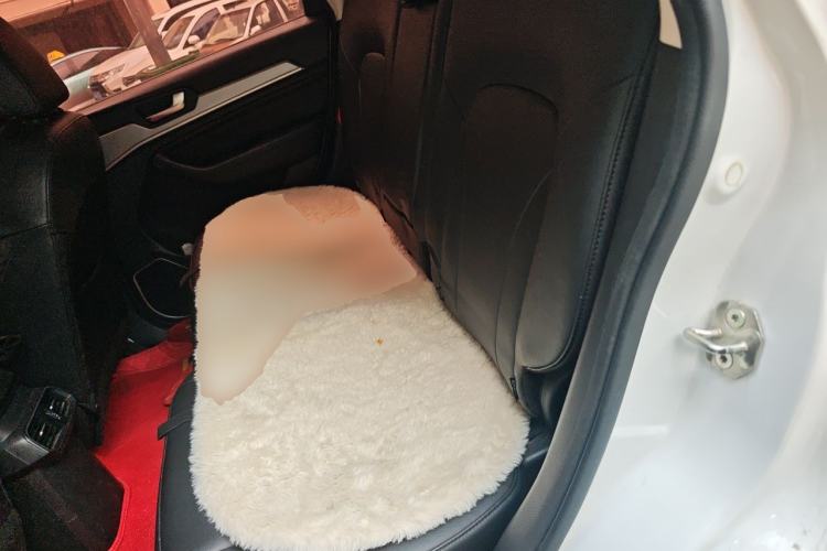 Used Haval H6 2018 Red-Label Sport Edition 1.5T Automatic Two-Wheel Drive Prestige Model Left Rear Seat