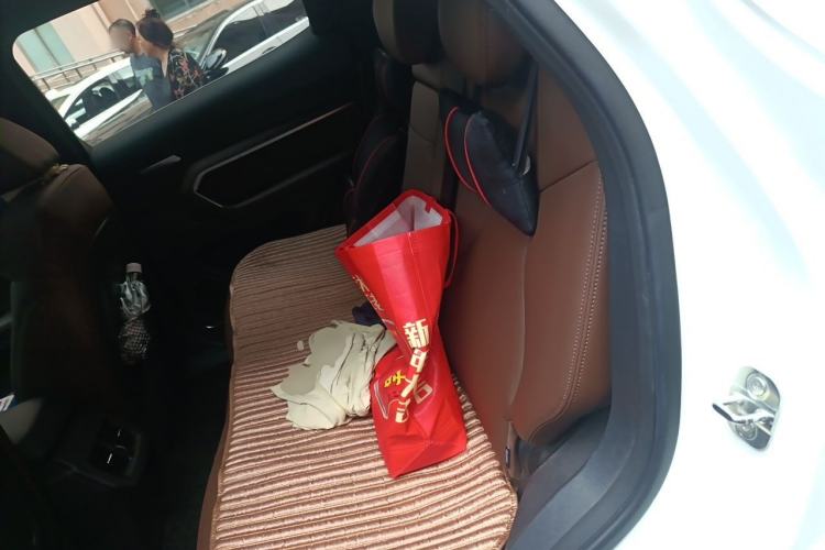 Used Haval H6 2018 Red-Label 1.5T Automatic Luxury Model Left Rear Seat