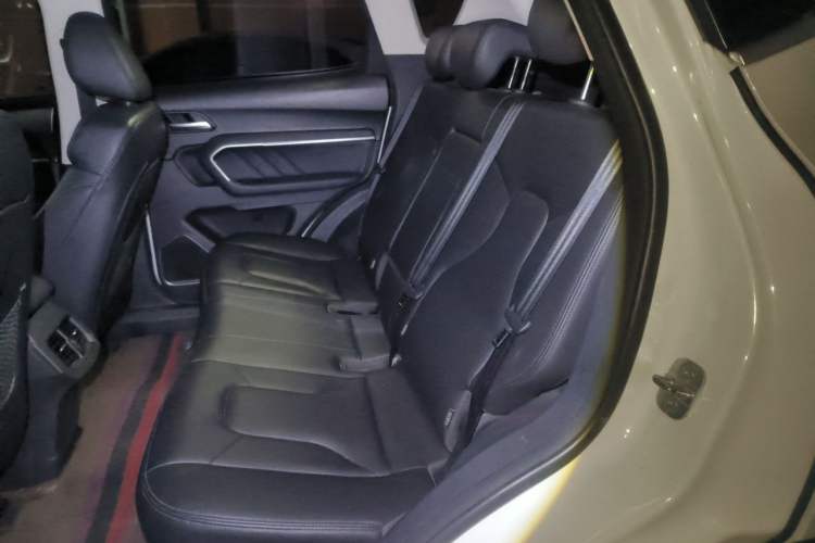 Used Haval H6 2018 Red-Label 1.5T Automatic Luxury Model Left Rear Seat
