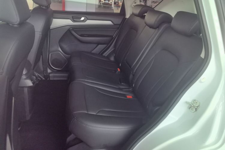 Used Haval H6 2018 Blue Label Sport Edition 1.5T Automatic Two-Wheel Drive Elite Model Left Rear Seat