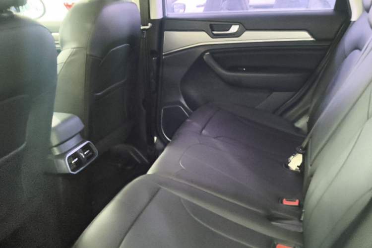 Used Haval H6 2018 Blue Label Sport Edition 1.5T Manual Two-Wheel Drive Elite Model Left Rear Seat