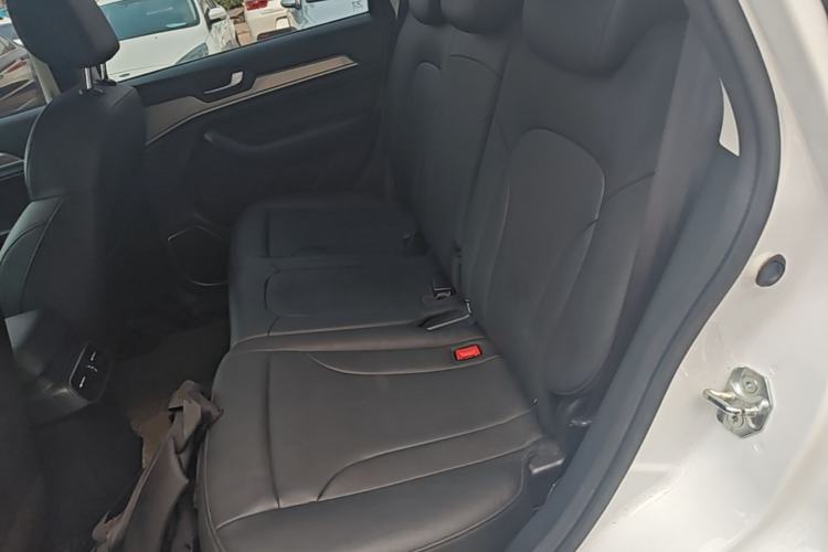 Used Haval H6 2018 Blue Label Sport Edition 1.5T Automatic Two-Wheel Drive Elite Model Left Rear Seat