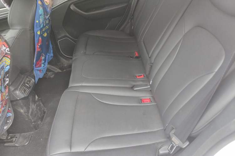 Used Haval H6 2018 Blue Label Sport Edition 1.5T Automatic Two-Wheel Drive Elite Model Left Rear Seat