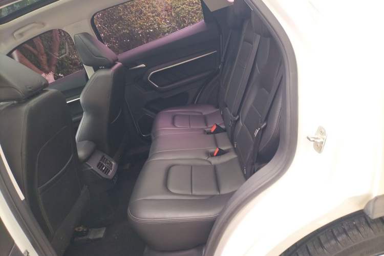 Used Haval H6 2018 Blue-Label 1.5T Automatic Luxury Model Left Rear Seat