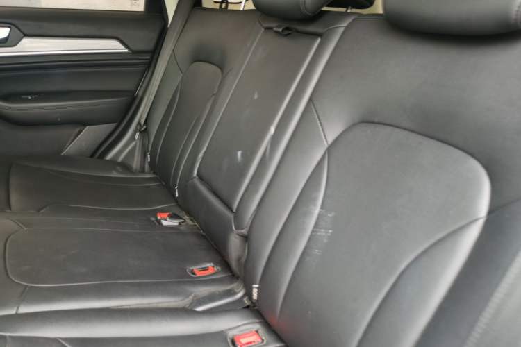 Used Haval H6 2018 Blue Label Sport Edition 1.5T Manual Two-Wheel Drive Elite Model Left Rear Seat