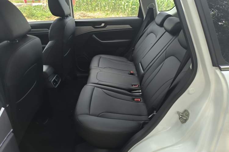 Used Haval H6 2018 Blue Label Sport Edition 1.5T Manual Two-Wheel Drive Elite Model Left Rear Seat