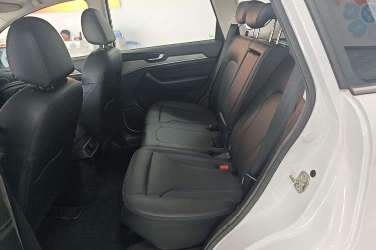 Used Haval H6 2018 Blue Label Sport Edition 1.5T Automatic Two-Wheel Drive Elite Model Left Rear Seat