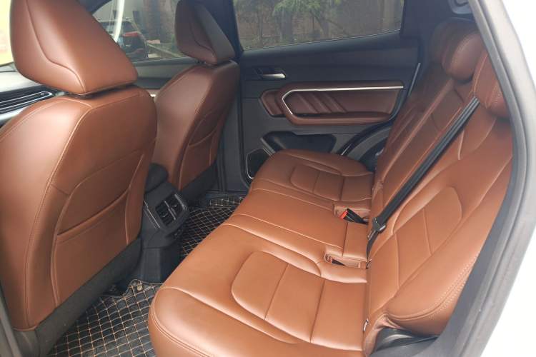 Used Haval H6 2018 Red-Label 2.0T Automatic Luxury Model Left Rear Seat