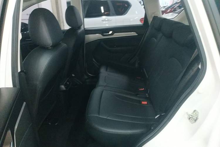 Used Haval H6 2018 Blue Label Sport Edition 1.5T Automatic Two-Wheel Drive Elite Model Left Rear Seat