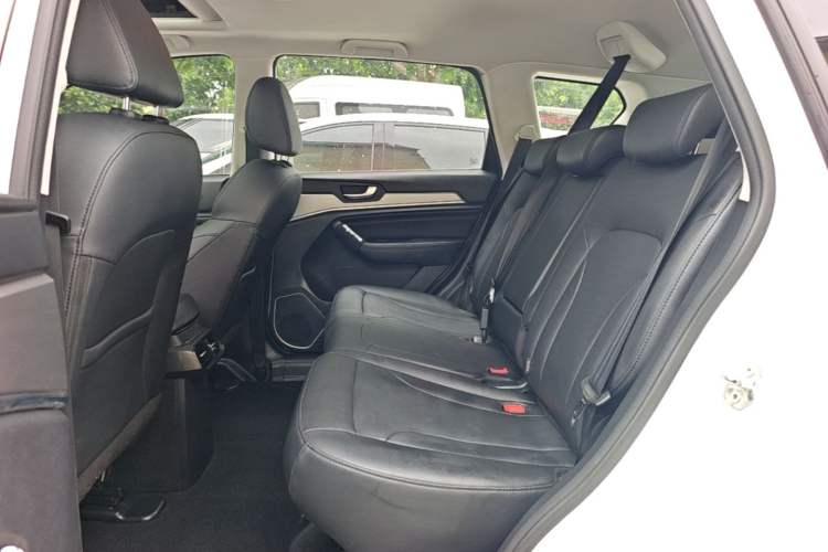 Used Haval H6 2018 Blue Label Sport Edition 1.5T Manual Two-Wheel Drive Elite Model Left Rear Seat