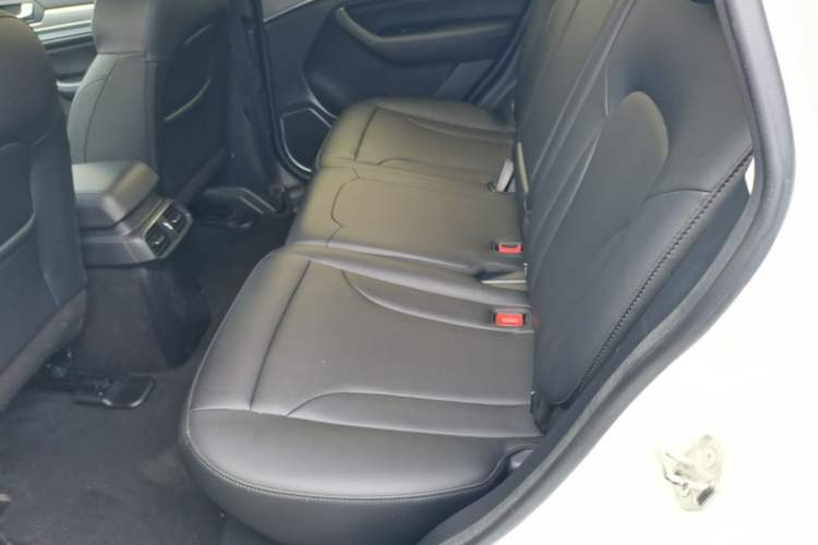 Used Haval H6 2018 Blue Label Sport Edition 1.5T Manual Two-Wheel Drive Elite Model Left Rear Seat