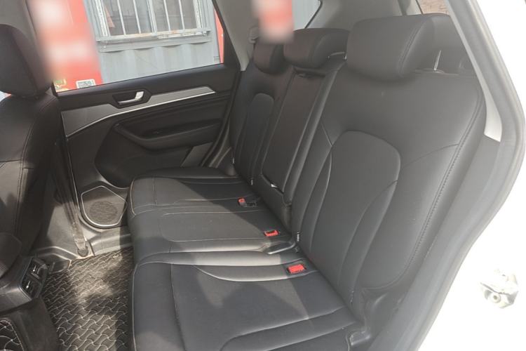 Used Haval H6 2018 Red-Label Sport Version 1.5T Manual Two-Wheel Drive Elite Model Left Rear Seat