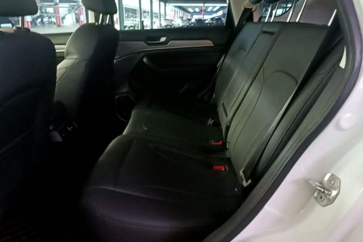 Used Haval H6 2018 Blue Label Sport Edition 1.5T Automatic Two-Wheel Drive Elite Model Left Rear Seat