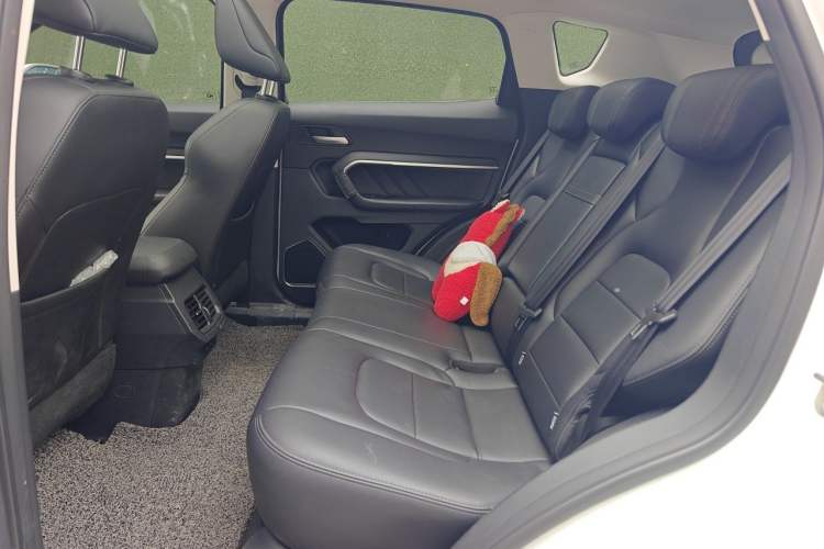 Used Haval H6 2018 Red-Label 2.0T Automatic Luxury Model Left Rear Seat