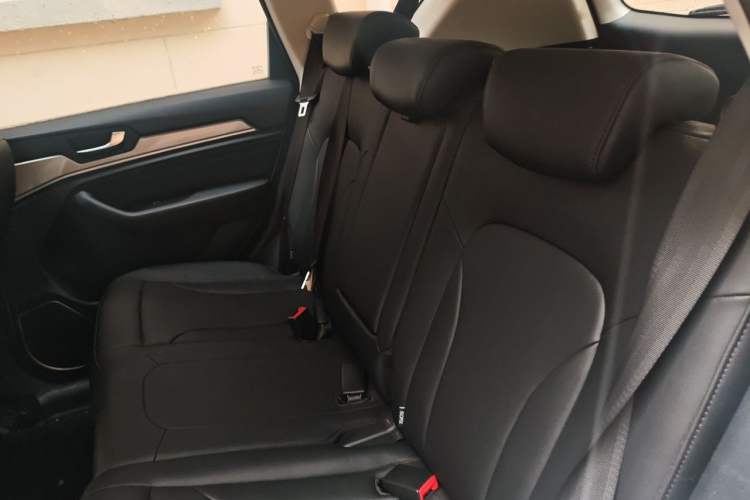 Used Haval H6 2018 Blue Label Sport Edition 1.5T Manual Two-Wheel Drive Elite Model Left Rear Seat