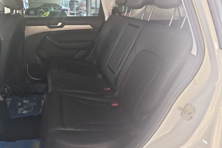 Used Haval H6 2018 Blue Label Sport Edition 1.5T Automatic Two-Wheel Drive Elite Model Left Rear Seat