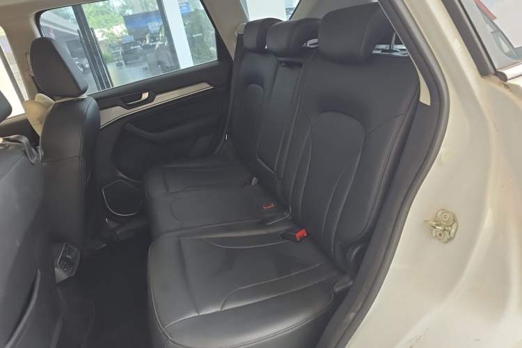 Used Haval H6 2018 Blue Label Sport Edition 1.5T Automatic Two-Wheel Drive Prestige Model Left Rear Seat