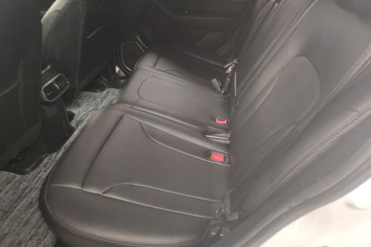 Used Haval H6 2018 Blue Label Sport Edition 1.5T Automatic Two-Wheel Drive Elite Model Left Rear Seat