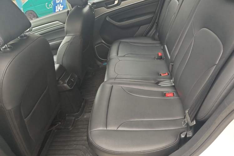 Used Haval H6 2018 Blue Label Sport Edition 1.5T Automatic Two-Wheel Drive Elite Model Left Rear Seat