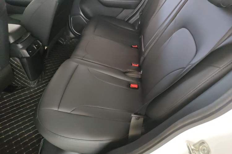 Used Haval H6 2018 Blue Label Sport Edition 1.5T Automatic Two-Wheel Drive Elite Model Left Rear Seat