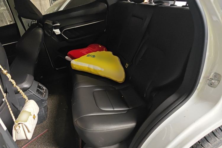 Used Haval H6 2018 Red-Label 1.5T Automatic Luxury Model Left Rear Seat