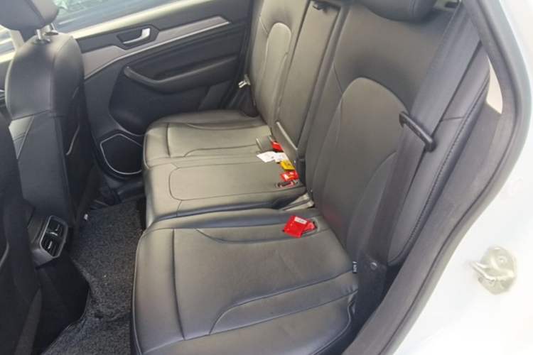 Used Haval H6 2018 Blue Label Sport Edition 1.5T Automatic Two-Wheel Drive Elite Model Left Rear Seat