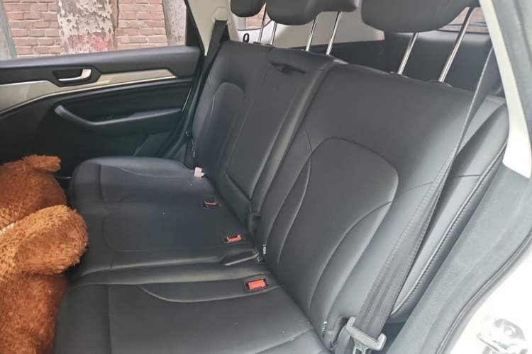 Used Haval H6 2018 Red-Label Sport Edition 1.5T Automatic Two-Wheel Drive Elite Model Left Rear Seat