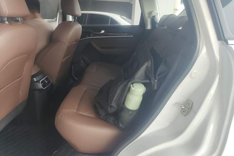 Used Haval H6 2018 Blue Label Sport Edition 1.5T Automatic Two-Wheel Drive Elite Model Left Rear Seat
