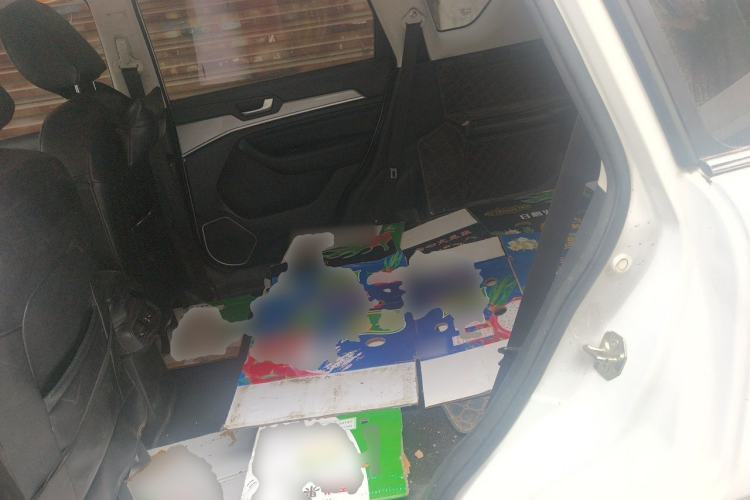 Used Haval H6 2018 Red-Label Sport Edition 1.5T Automatic Two-Wheel Drive Prestige Model Left Rear Seat