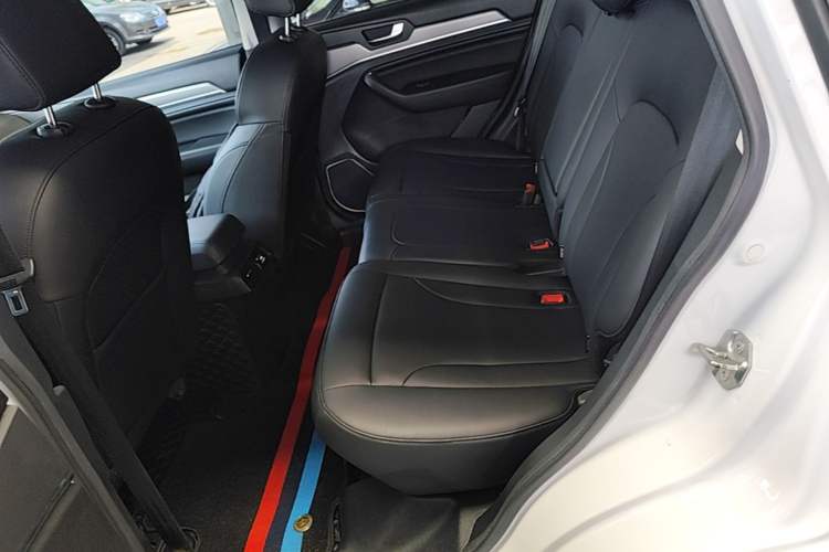 Used Haval H6 2018 Blue Label Sport Edition 1.5T Manual Two-Wheel Drive Elite Model Left Rear Seat