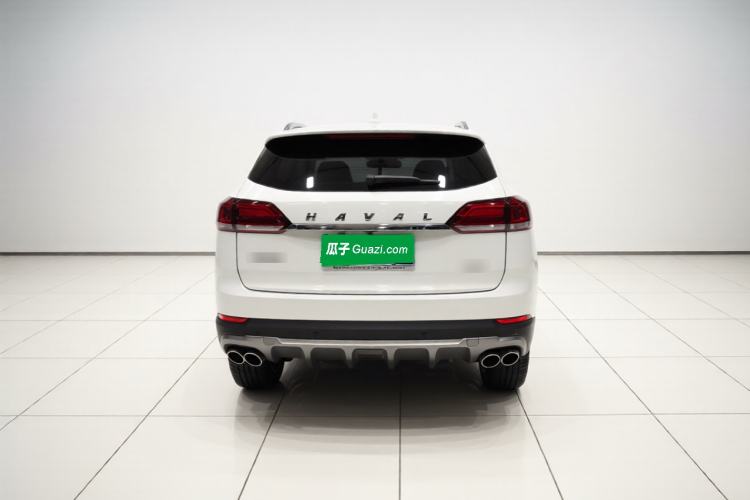 Used Haval H6 2018 Blue Label 2.0T Automatic Luxury Model Rear