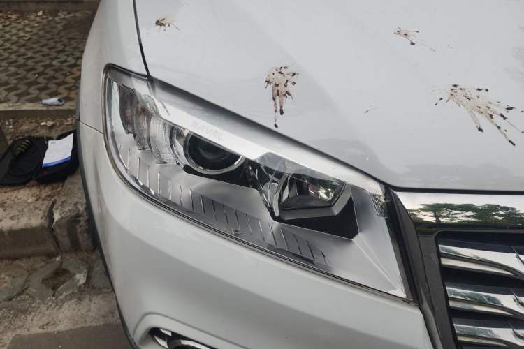Used Haval H6 2018 Red-Label Sport Version 1.5T Manual Two-Wheel Drive Elite Model Right Front Headlight