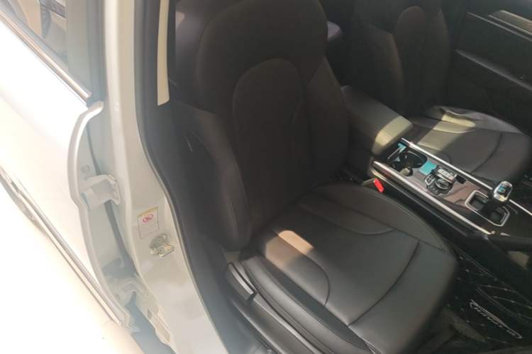 Used Haval H6 2018 Blue Label Sport Edition 1.5T Automatic Two-Wheel Drive Elite Model Right Front Seat