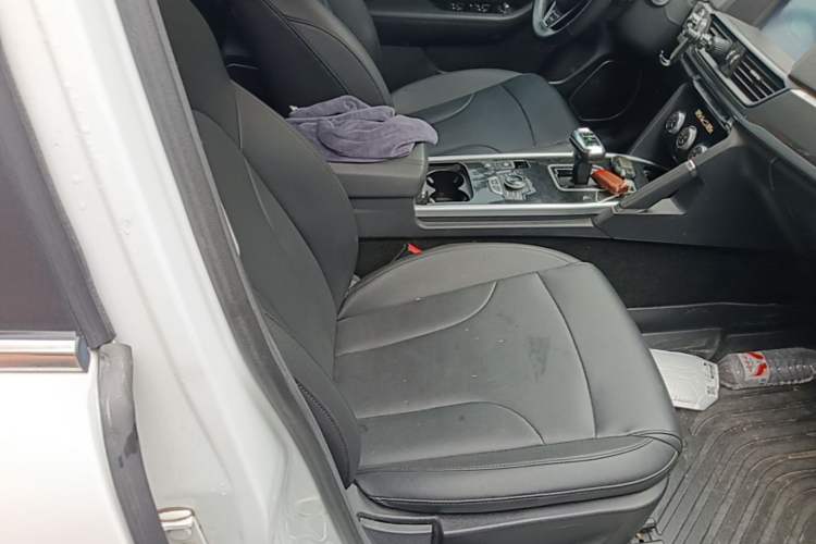 Used Haval H6 2018 Blue Label Sport Edition 1.5T Automatic Two-Wheel Drive Elite Model Right Front Seat