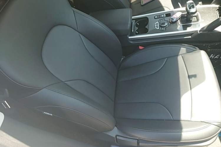 Used Haval H6 2018 Red-Label Sport Edition 1.5T Automatic Two-Wheel Drive Elite Model Right Front Seat