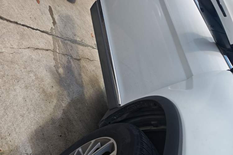 Used Haval H6 2018 Red-Label Sport Edition 1.5T Automatic Two-Wheel Drive Prestige Model Right Side Sill