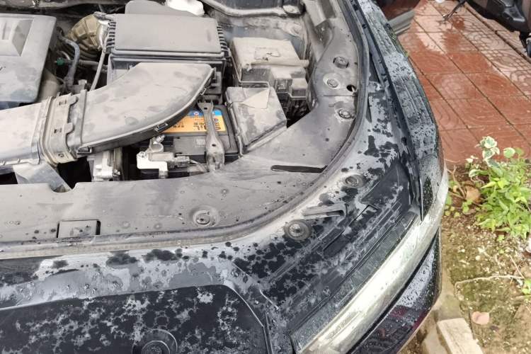Used Haval H6 2019 Red Label 1.5 GDIT Automatic Urban Edition Engine Bay Left