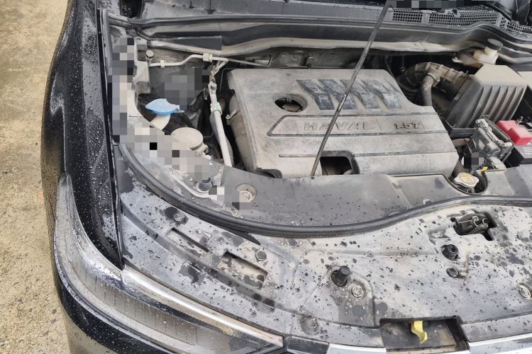 Used Haval H6 2019 Sport Edition 1.5T Manual Two-Wheel Drive Elite Model China VI Standard Engine Bay Right
