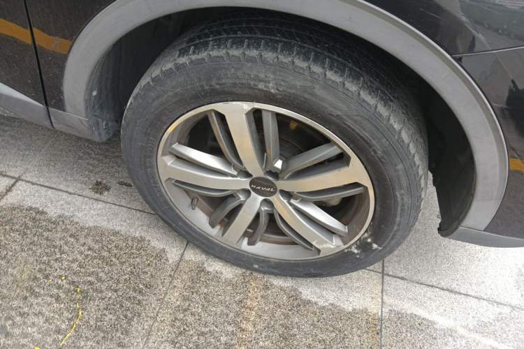 Used Haval H6 2019 1.5 GDIT Automatic Champion Edition China VI Standard Exterior 1