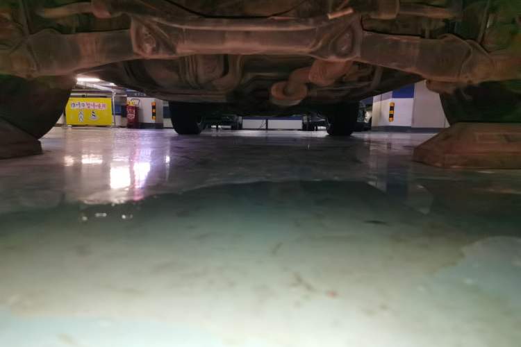 Used Haval H6 2019 1.5 GDIT Automatic Champion Edition China V Standard Chassis Rear