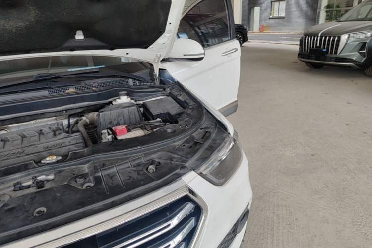 Used Haval H6 2019 Sport Edition 1.5T Automatic Two-Wheel Drive Elite Model China VI Engine Bay Left