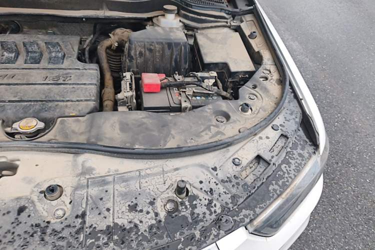 Used Haval H6 2019 Sport Edition 1.5T Automatic Two-Wheel Drive Elite Model China VI Engine Bay Left
