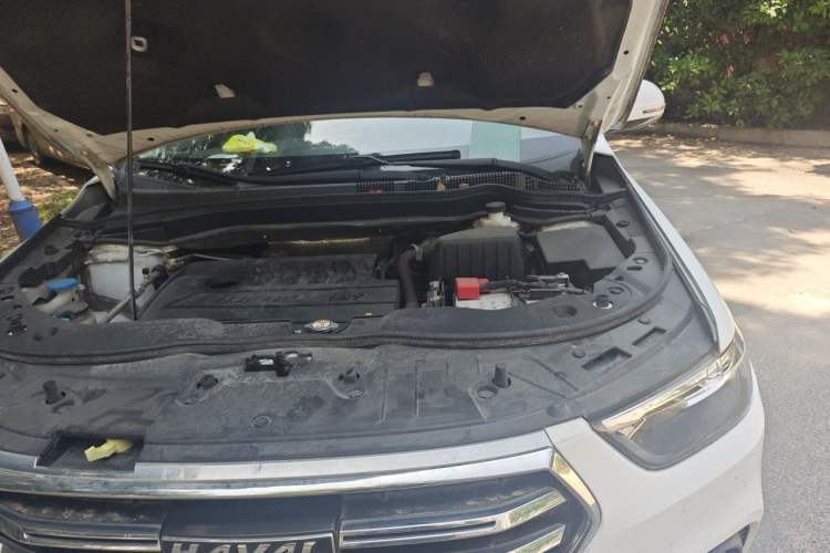 Used Haval H6 2019 Sport Edition 1.5T Automatic Two-Wheel Drive Elite Model China VI Engine Bay Left