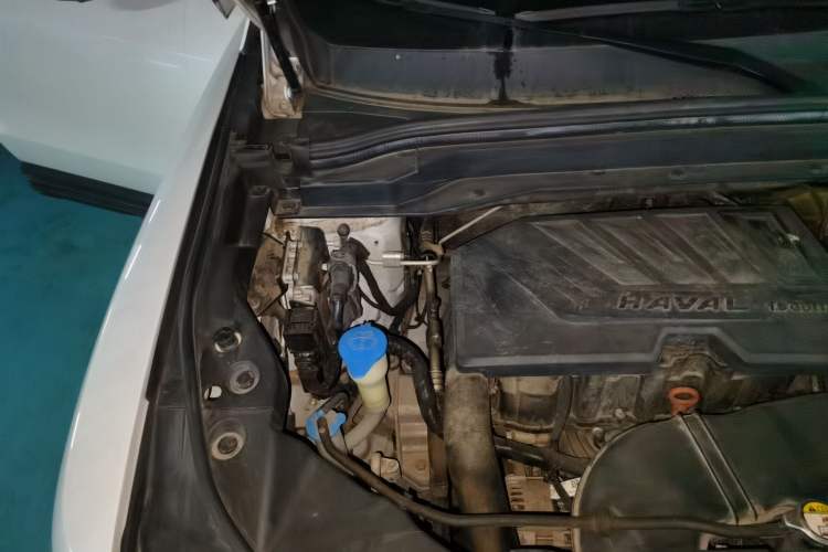 Used Haval H6 2019 1.5 GDIT Automatic Champion Edition China V Standard Engine Bay Right