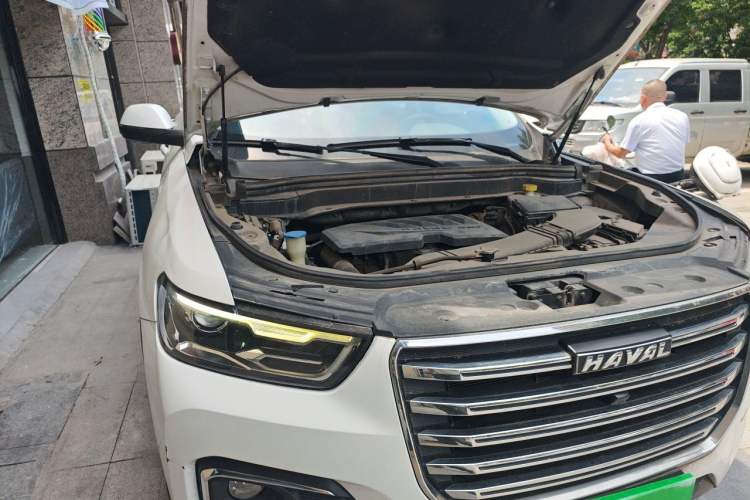 Used Haval H6 2019 1.5 GDIT Automatic Champion Edition China V Standard Engine Bay Right