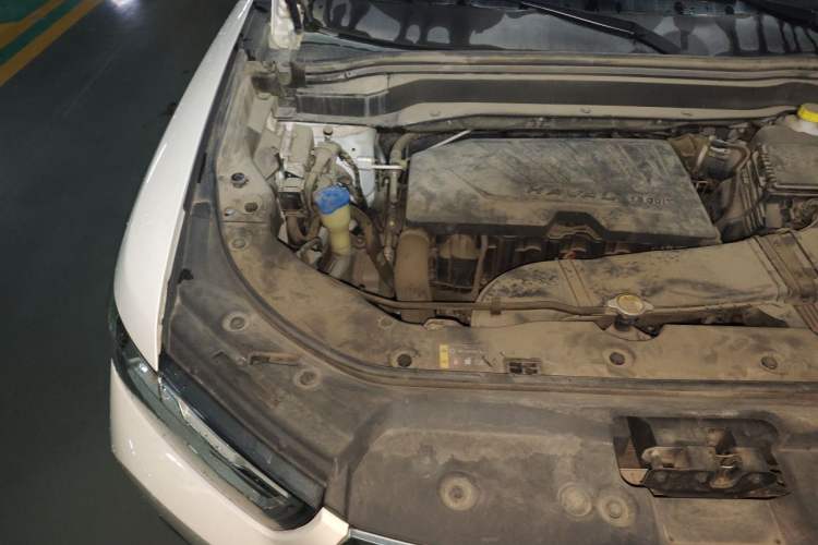 Used Haval H6 2019 Red Label 1.5 GDIT Automatic Champion Edition Engine Bay Right