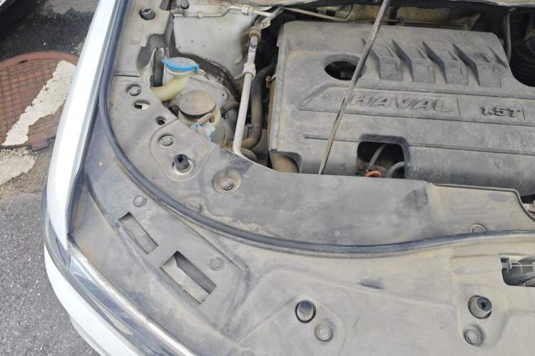 Used Haval H6 2019 Sport Edition 1.5T Automatic Two-Wheel Drive Elite Model China VI Engine Bay Right