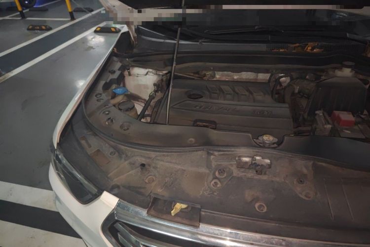 Used Haval H6 2019 Sport Edition 1.5T Automatic Two-Wheel Drive Elite Model China VI Engine Bay Right